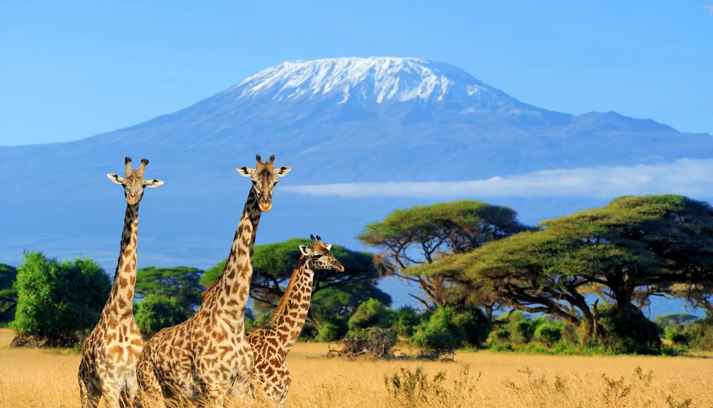 The Magic of Kenya 2