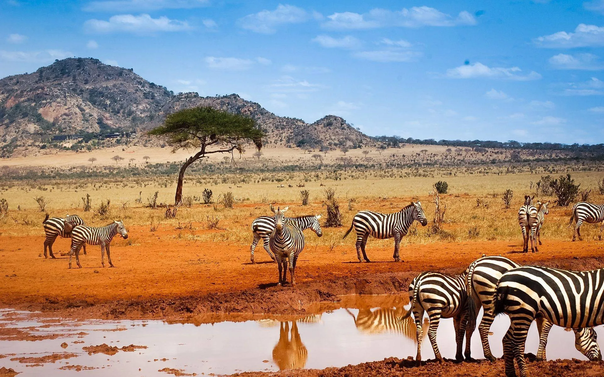The Magic of Kenya 3